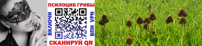 Купить где  Южно-Сахалинск  Галлюциногенные грибы Cubensis 